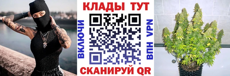 Продажа наркотиков Валуйки Канабис Гашиш