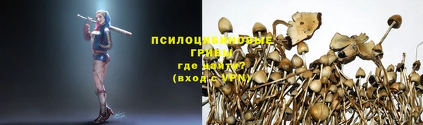 MESCALINE Баксан